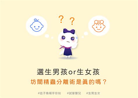 精蟲分離術|試管嬰兒性別－生男生女可以自由選擇嗎？